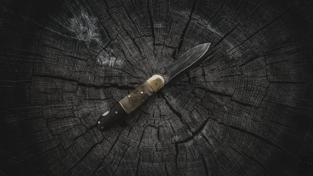 forest knife