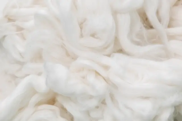 raw cotton
